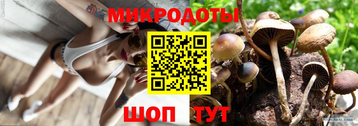 Галлюциногенные грибы GOLDEN TEACHER Котлас