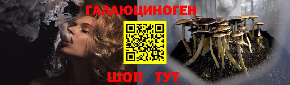 Галлюциногенные грибы мухоморы  Вход с VPN  Котлас 